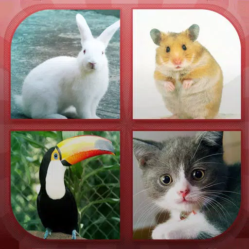 Animals Quiz - Guess Animals! Animals Quiz - Guess Animals!