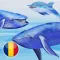 Balene si delfini