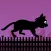 Black Cat Run