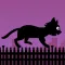 Black Cat Run