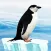 Knowee : Penguins