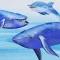 Knowee : Whales and Dolphins