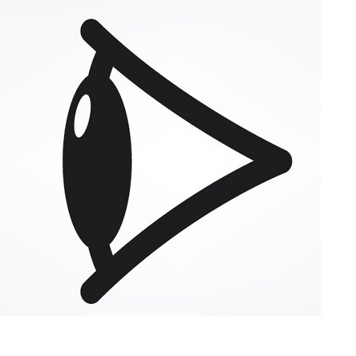 Eye Scanner Project