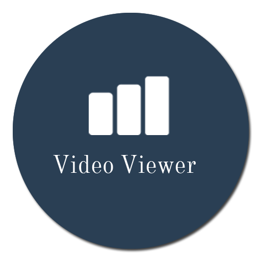 video viewer