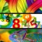 Colors Numbers Animals for Kids