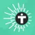 Tesla Connect