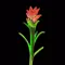 Grass Flower Weed: SpringBloom