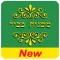 משגיח New
