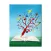 Humming Birds School