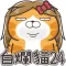 白爛貓 24 一朵美麗的阿花