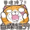 白爛貓39 超胡鬧