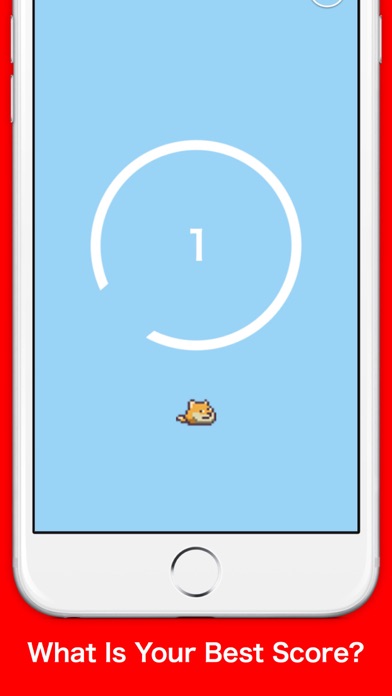 Doge Don't Tap That! Screenshots