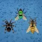 Bugs - Sticker Pack