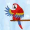 Jazzy World Animals