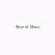 The Best Of Maui