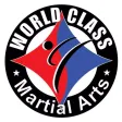World Class Martial Arts