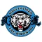 Yong-In Tiger Taekwondo (YIT)