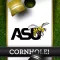 Alabama State Hornets Cornhole