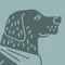 The Grey Dog App