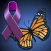 Lupus Companion