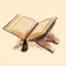 The Message: Quran