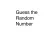 Guess the Random Number
