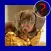 Top Dog Breed Quiz Maestro