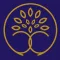 The Rich Roots