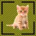 What it is-Object Detection