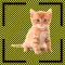 What it is-Object Detection