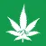 Rocky Mountain Cannabis