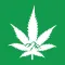 Rocky Mountain Cannabis