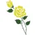 The Yellow Rose Wholesale