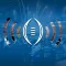Real-Time Alerts Super Bowl