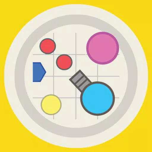 Colorful dot circle flip challenge 2 Colorful dot circle flip challenge 2