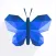 Morpho Convert Currency & Unit