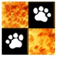 Don't Step LAVA