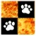 Don't Step LAVA