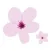 Flower Blossom sticker - flowers photo stickers