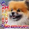 Captain Henry Gingersnaps