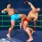 Combat Karate Wrestling Fight
