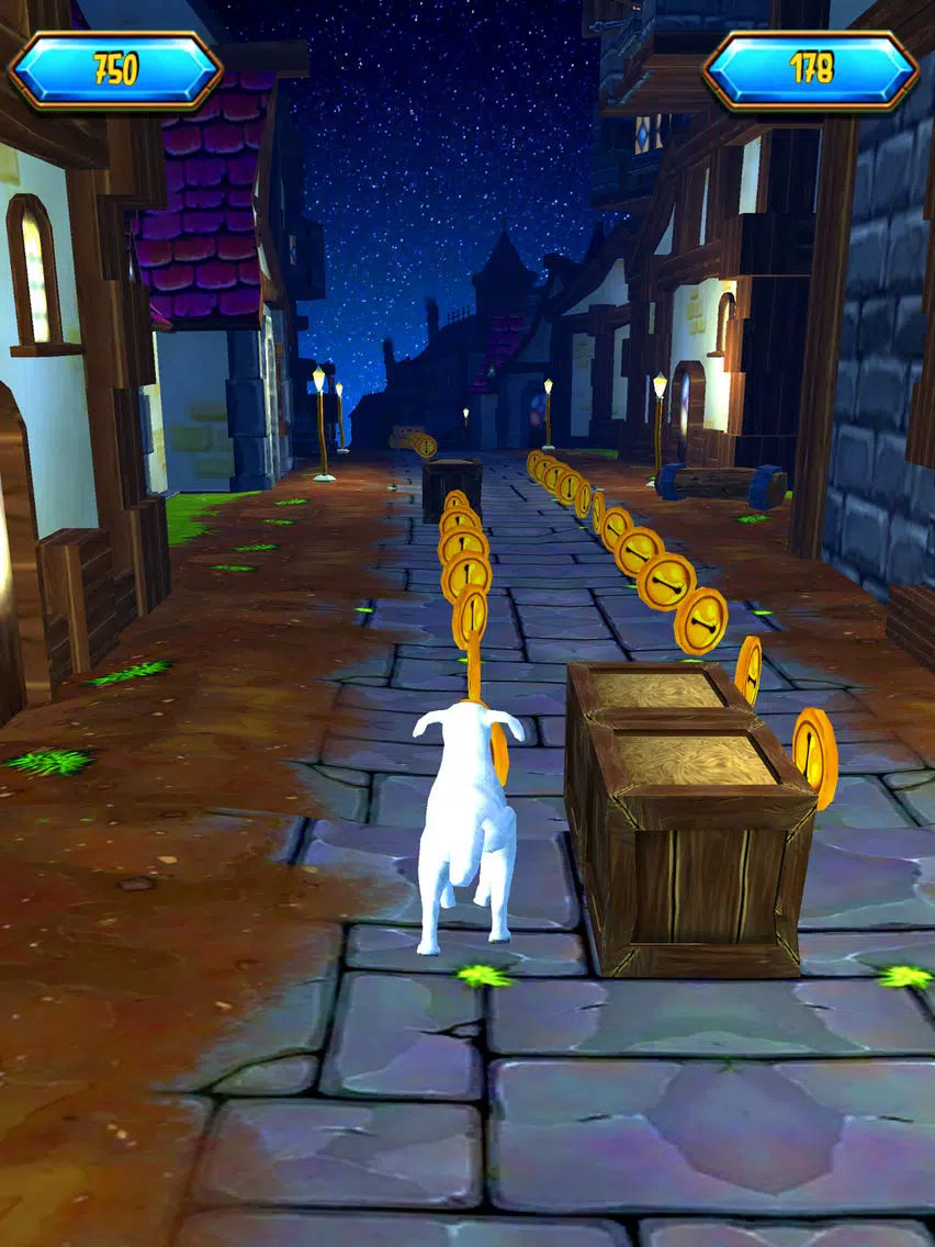 Pet Dream Run iPad  Screenshots