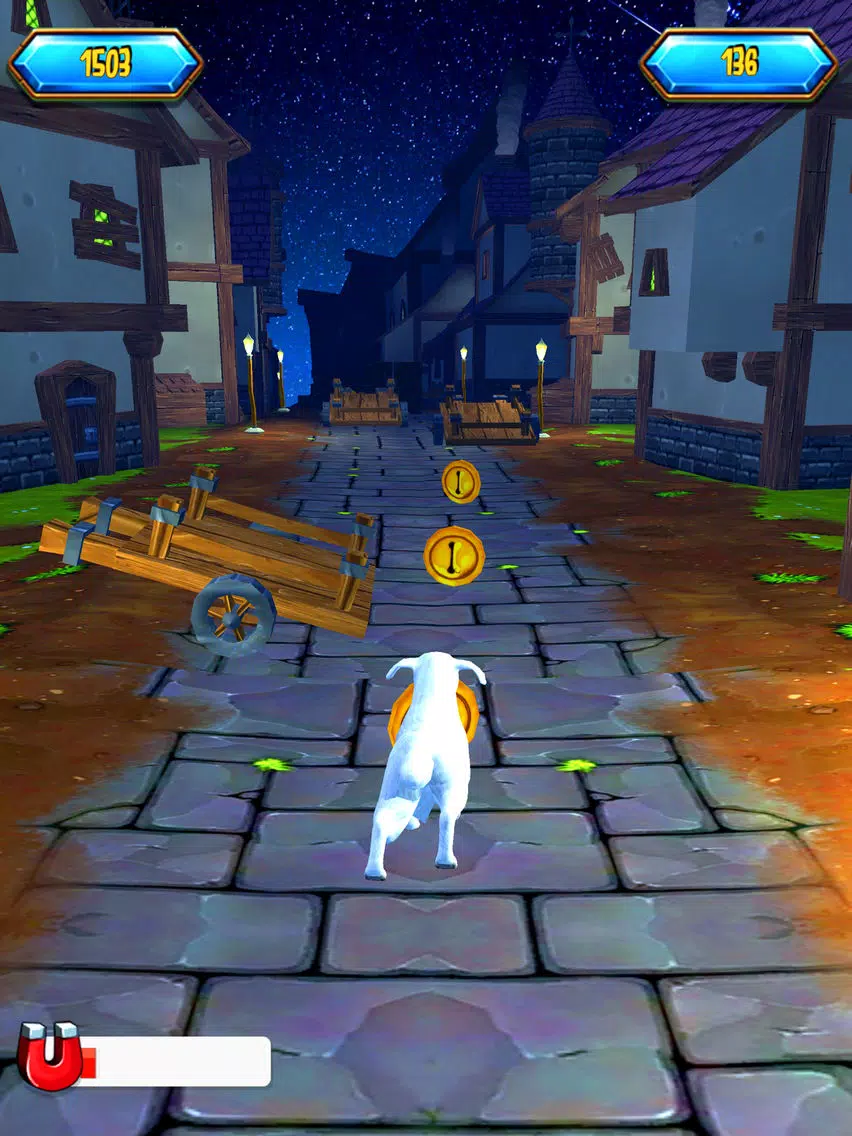 Pet Dream Run iPad  Screenshots
