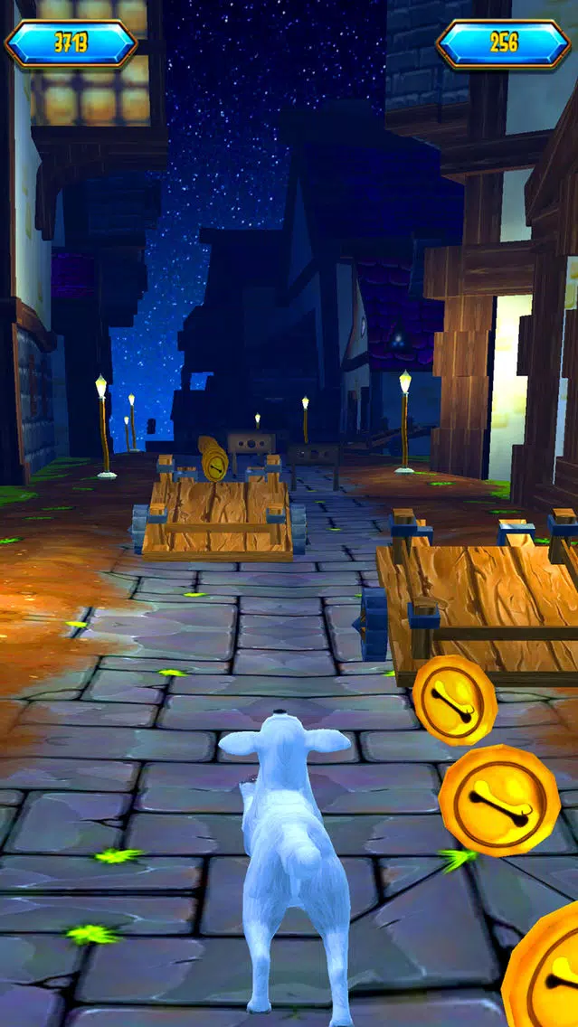 Pet Dream Run Screenshots