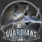 GUARDIANS OF THE SKIES