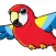 Parrot - Pronunciation Practice