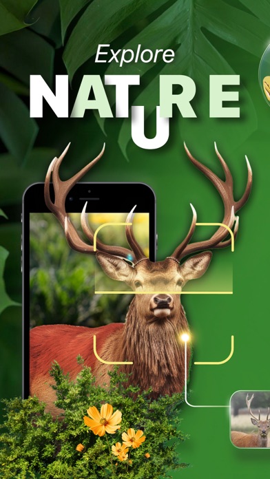Nature ID - Plant Identifier Screenshots