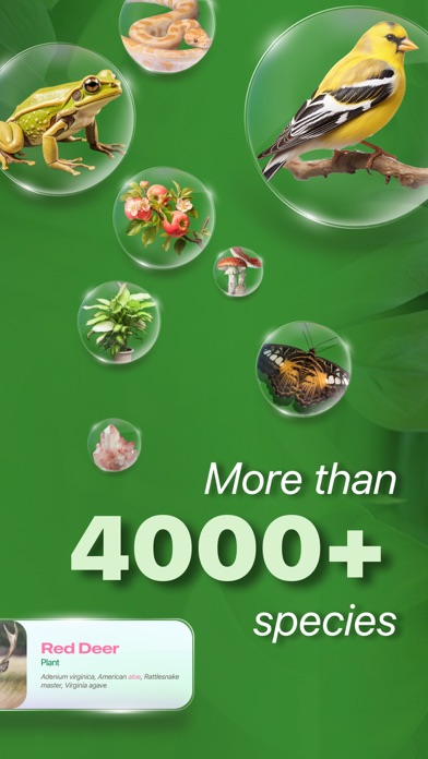 Nature ID - Plant Identifier Screenshots