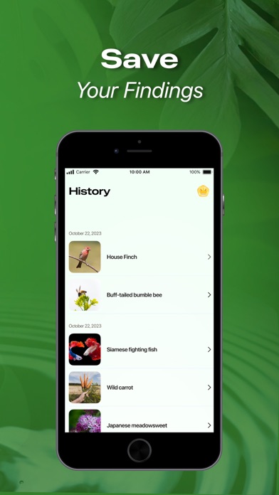 Nature ID - Plant Identifier Screenshots