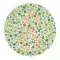 Color Blind Test (CBT)